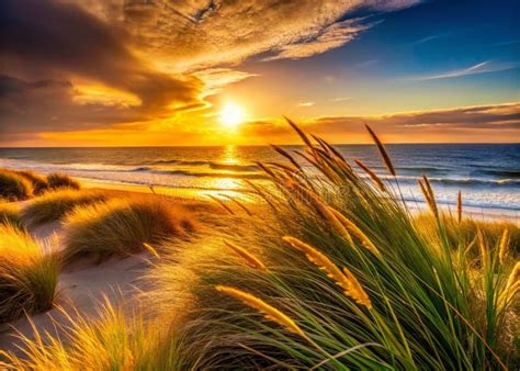 Coastal Dune Ecosystem Flourishes Along The Atlantic Coast Of France A
