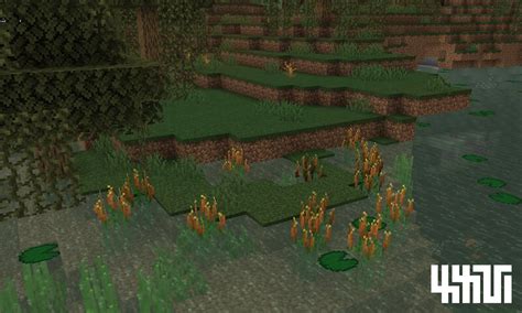 Xxvis Simple Cattails Minecraft Texture Pack