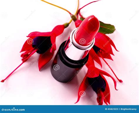 Lipstick And Flower Stock Photo Image 43461023