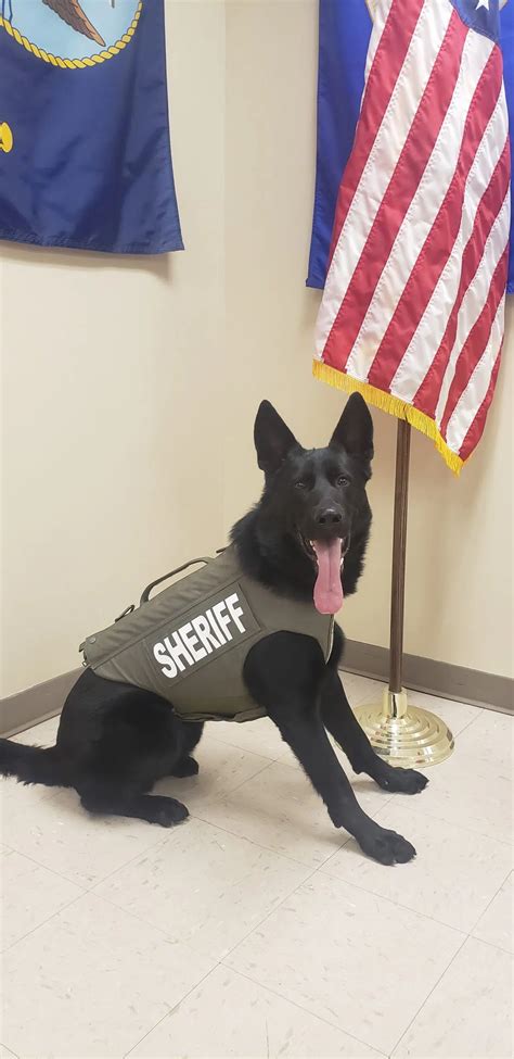 Fayette County Sheriffs Office K9 Zero Receives Donation Of Body Armor