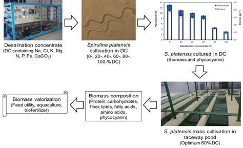 The Feasibility Of Using Inland Desalination Concentrate Dc As An