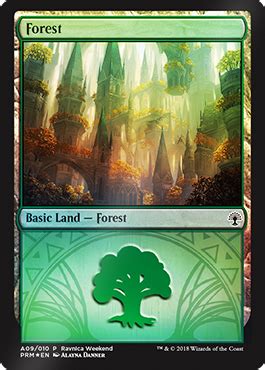 Forest MtG Art From Guilds Of Ravnica Set By Alayna Danner Art Of