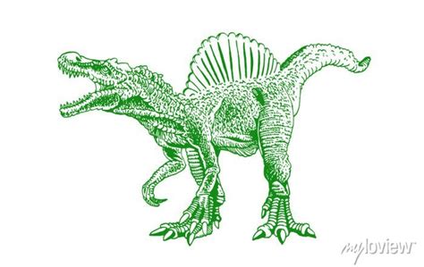 Graphical Green Sketch Of Spinosaurus Isolated On White Background