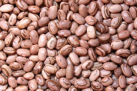 Feijão Carioca Um Dos Mais Populares No Brasil Tem Excelentes Nutrientes