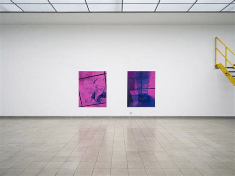 Sophie Gogl At Kunsthaus Glarus Art Viewer