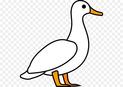 duck outline clipart 10 free Cliparts | Download images on Clipground 2024