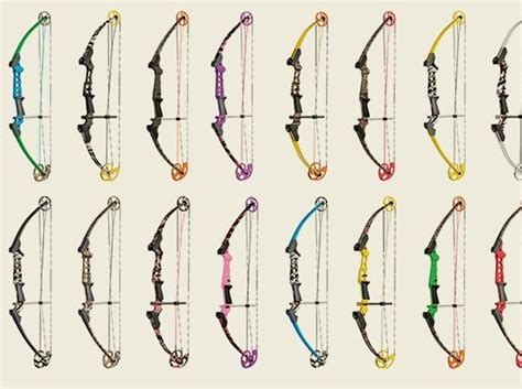 Genesis® Archery Releases Bow For New Generation Of Archers And Hunters | Hunting Magazine