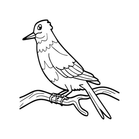 Premium Vector | A drawing of a bird on a white background