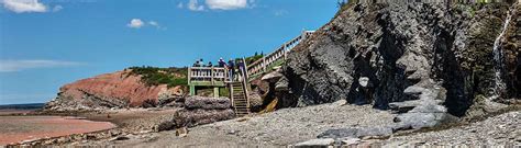 Home Joggins Fossil Cliffs Nova Scotia Canada Unesco World