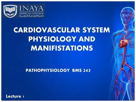 Ppt Cardiovascular System Physiology And Manifistations Powerpoint