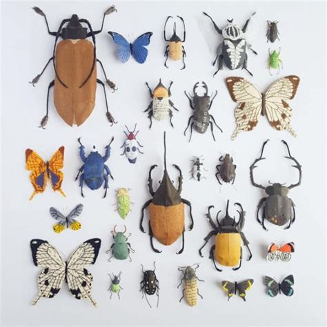 Insecten Van Papier En Textiel EYEspired