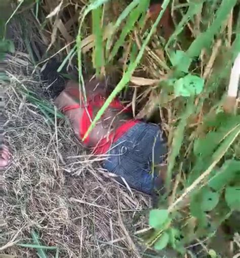 Mulher Encontrada Morta Ap S Espancamento No Brasilar Zona Sul De