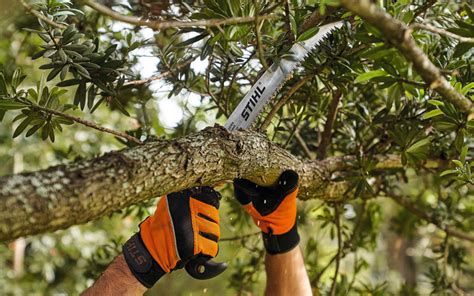 The Best Pruning Saws Stihl Shop