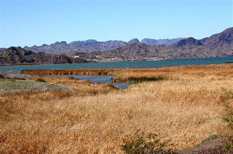 Lake Havasu Fishing Report December 2018