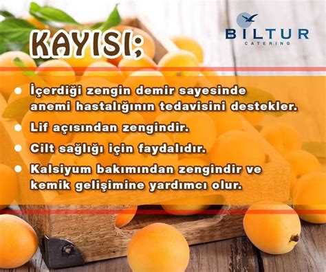 Biltur Catering adlı kullanıcının Faydalı Bilgiler panosundaki Pin