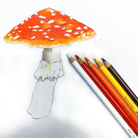 Mushroom Colored Pencil — Alaska Botanical Garden