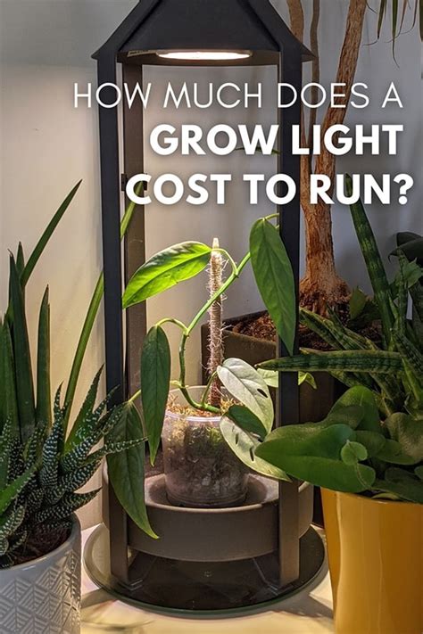 How Much Does A Grow Light Cost To Run Ourhouseplants