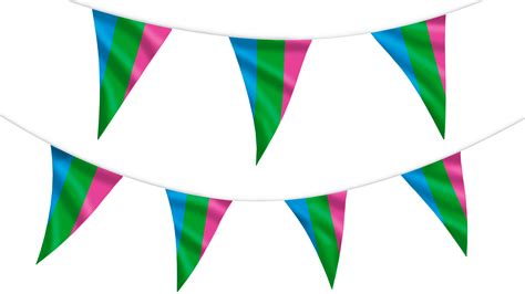 Polysexual Pride Bunting Hampshire Flag Company