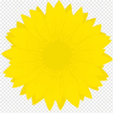 Girasol Color Flor Png Pngwing