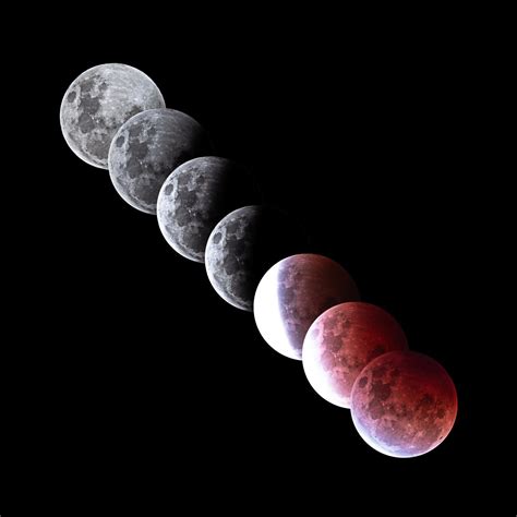 Phases of the Lunar Eclipse : r/astrophotography