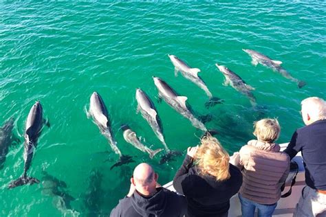 Kangaroo Island Short Coastal Wildlife Cruise 2025