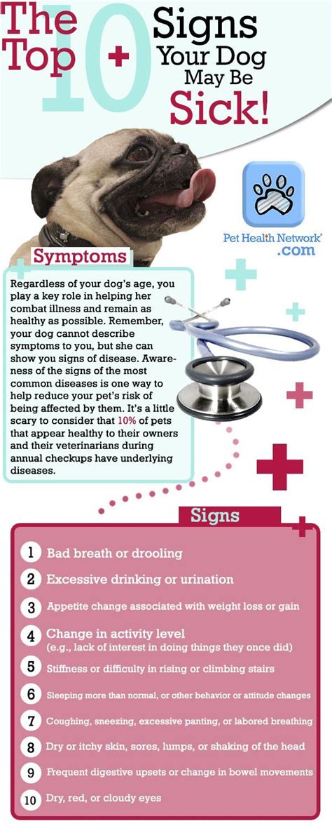 Pay attention to your dogs behavior! They may be trying to tell you ...