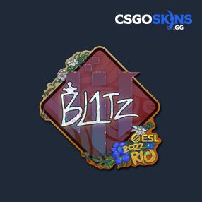 Sticker Blitz Glitter Rio Csgoskins Gg