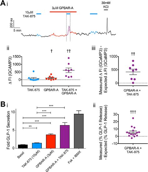 Synergistic Effects Of Ffa And Gpbar On Intracellular Calcium Levels