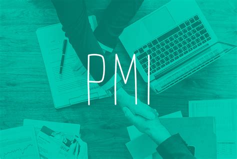 What is PMI in the project management industry? · Paymo