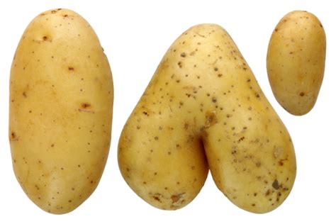 Potato Side Dish Png Transparent Images Free Download Vector Files