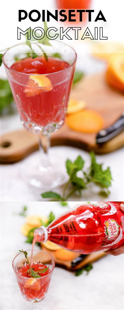 Poinsetta Holiday Mocktail | Elisabeth McKnight | Holiday mocktail ...