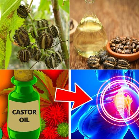 Top 10 Uses Of Castor Oil Youll Wish Someone Told You Sooner