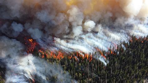 Geoambiental Argentina Incendios Forestales