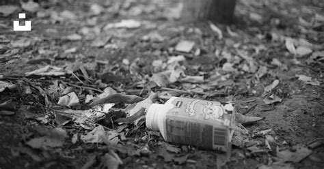 A Newspaper Laying On The Ground Next To A Tree Photo Free Trash