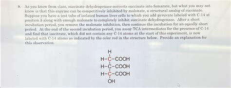 Solved As you know from class, succinate dehydrogenase | Chegg.com