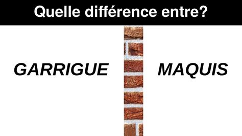 Quelle Est La Diff Rence Entre La Garrigue Et Le Maquis Youtube