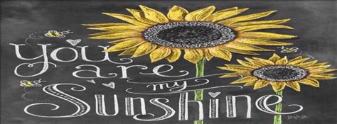 You Are My Sunshine Facebook Coversquotes Pinterest My