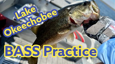 Okeechobee Practice For Bassmaster Elite 2023 Youtube