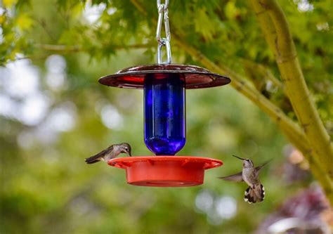 Hummingbird Feeder Bee Proof With Choice of 8 Oz Clear or Cobalt Bottle ...