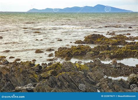 Paekakariki Hill Road Lookout, New Zealand Royalty-Free Stock Photo | CartoonDealer.com #87451113