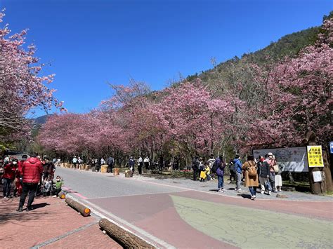 好天氣沒了！兩波冷空氣襲台 濕冷地區曝光｜東森新聞：新聞在哪 東森就在哪裡