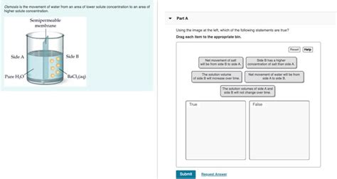 Solved Osmosis Is The Movement Of Water From An Area Of