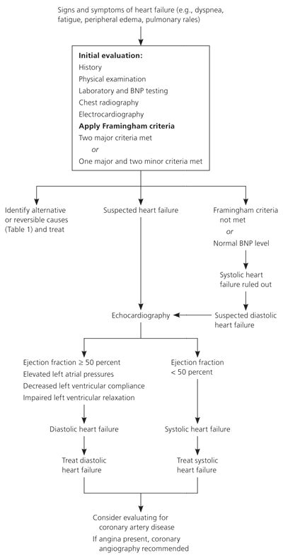 Diagnosis and evaluation of heart failure – Artofit