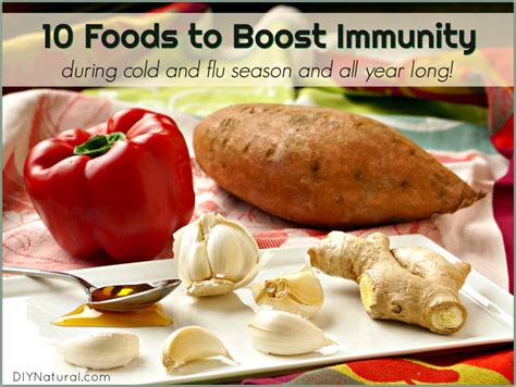 Foods To Boost Immune System Function During Cold And Flu Season