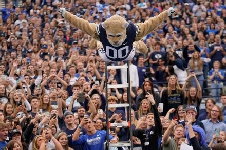 Byu Mascot Cosmo Leaps Off Ladder Editorial Stock Photo - Stock Image ...