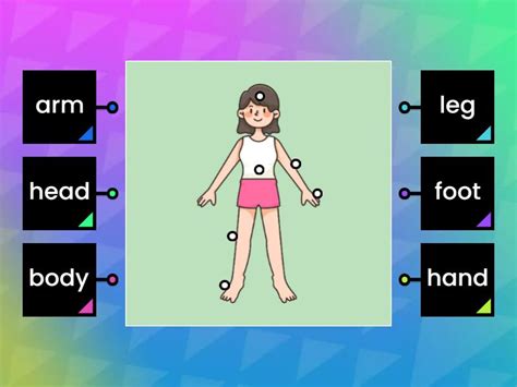 Human body - Labelled diagram