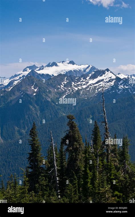 Mount Olympus From The High Divide Trail Olympic National Park