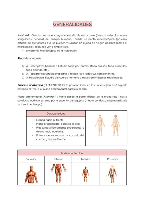 SOLUTION Generalidades Anatom A Morfofisiolog A Aparato Locomotor