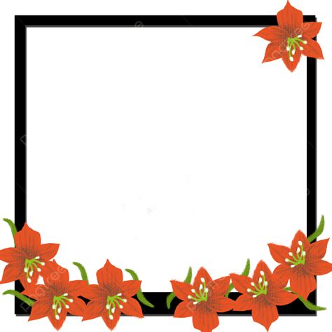 Borde De Flores Png Marco De La Foto Marco Gratis Png Y Psd Para Descargar Gratis Pngtree