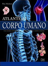 Atlante Del Corpo Umano Amazon Br